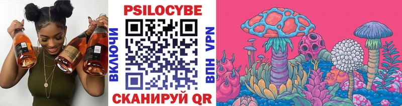 купить наркоту  Нижнекамск  Псилоцибиновые грибы ЛСД 