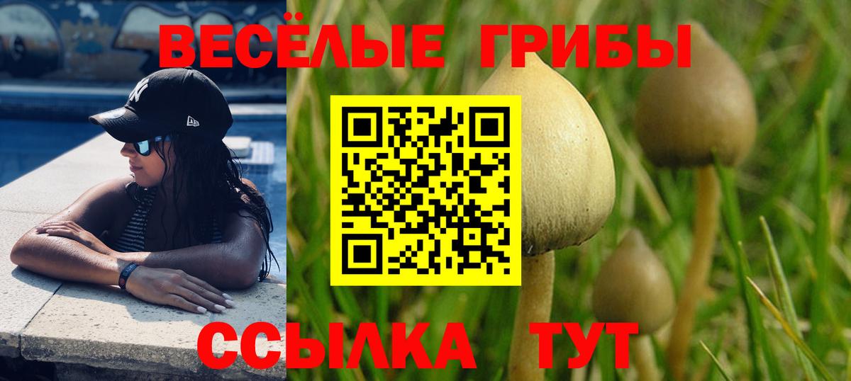 Псилоцибиновые грибы Magic Shrooms  Вход с VPN  Нижнекамск 