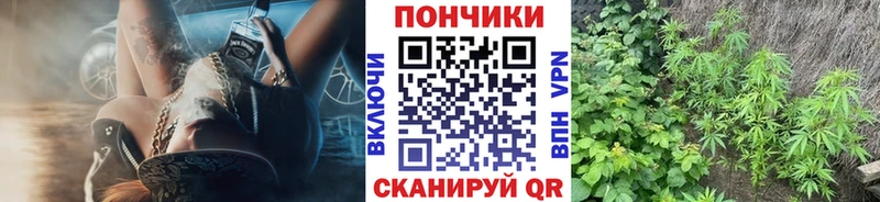 Шишки марихуана OG Kush  закладки  blacksprut   Нижнекамск 